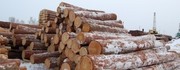 Продам лес кругляк(пиловочник) в г.Челябинск.
