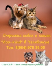 Стрижка собак и кошек «Zoo-Kind» в Челябинске