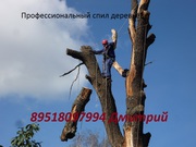Спил деревьев в Челябинске любой сложности