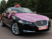 Прокат машин на свадьбу в Челябинске,  Jaguar XF на свадьбу