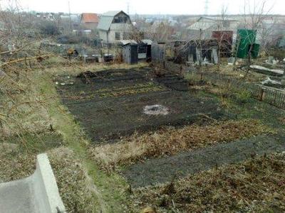 Сады россии челябинск каталог. Сады россии челябинск каталог.